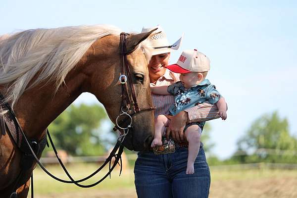 tricks-missouri-fox-trotter-horse