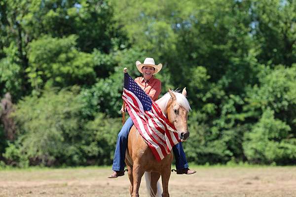 gentle-missouri-fox-trotter-horse