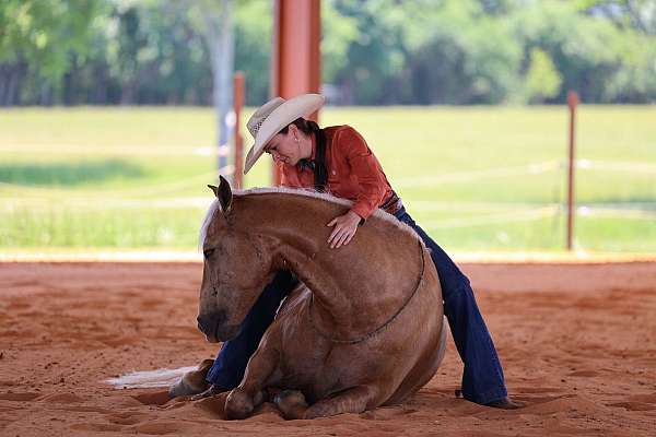 hunting-missouri-fox-trotter-horse