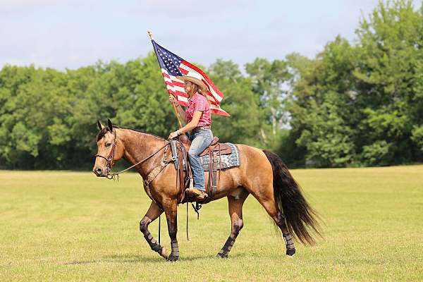 buckskin-missouri-fox-trotter-for-sale