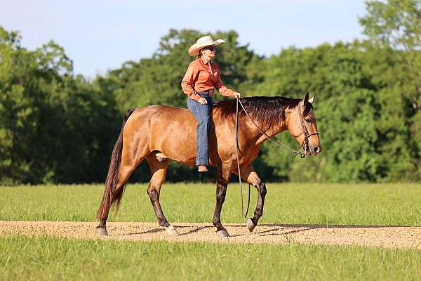 buckskin-missouri-fox-trotter-horse