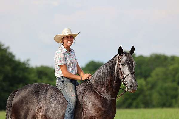 hunting-tennessee-walking-horse