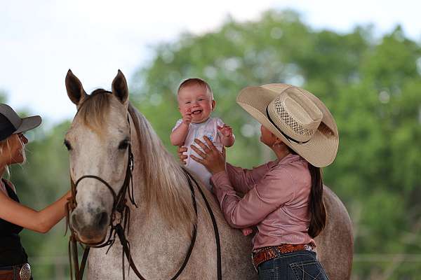tricks-missouri-fox-trotter-horse