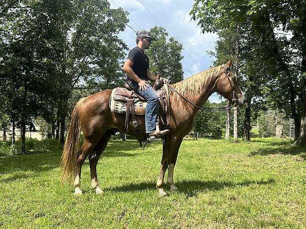 a-sorrel-gelding