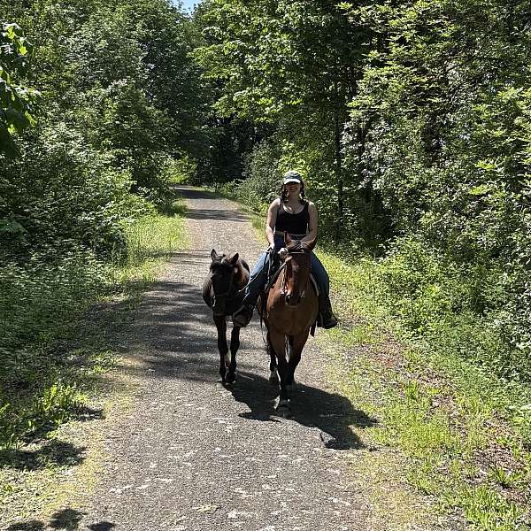 barrel-racing-quarter-horse