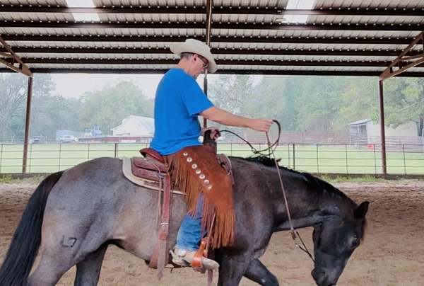 penning-quarter-horse