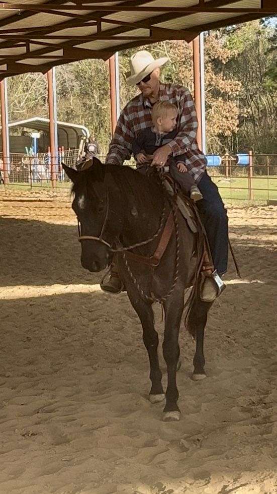 ranch-versatility-quarter-horse