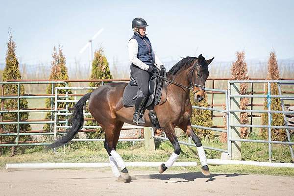 jr-friendly-mare