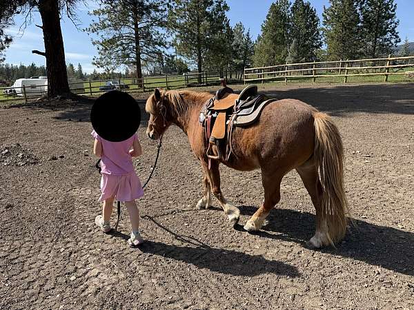 teeth-done-pony