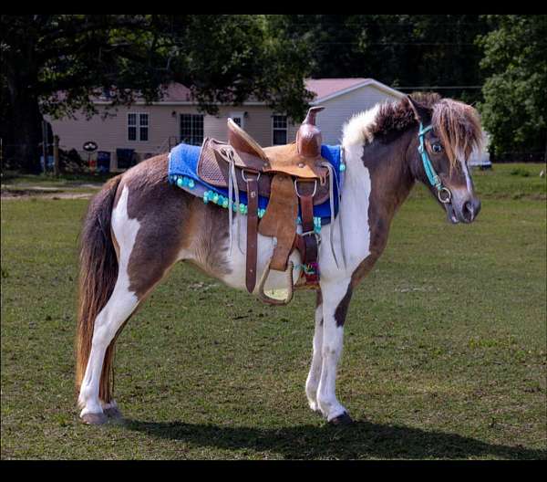 birthday-party-paint-pony