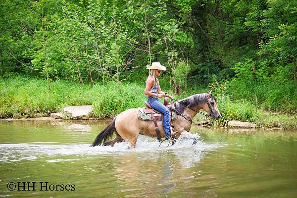 drill-team-quarter-horse