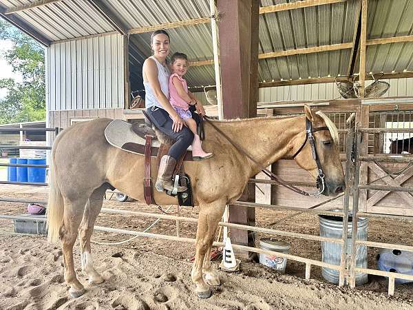 palomino-ranch-horse