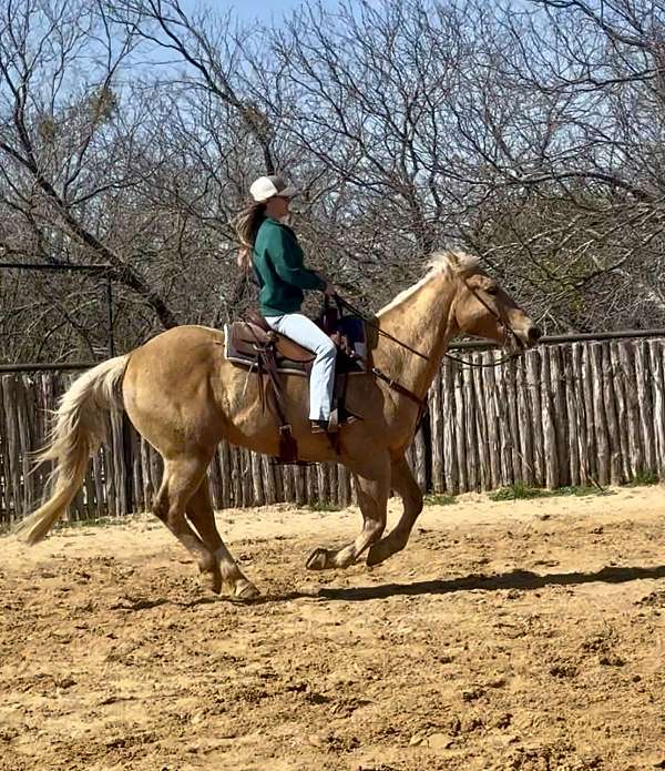 draft-gelding