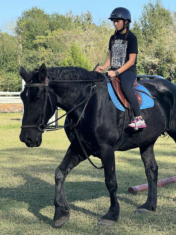 child-percheron-horse