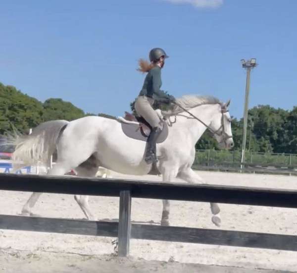 fleabitten-horse