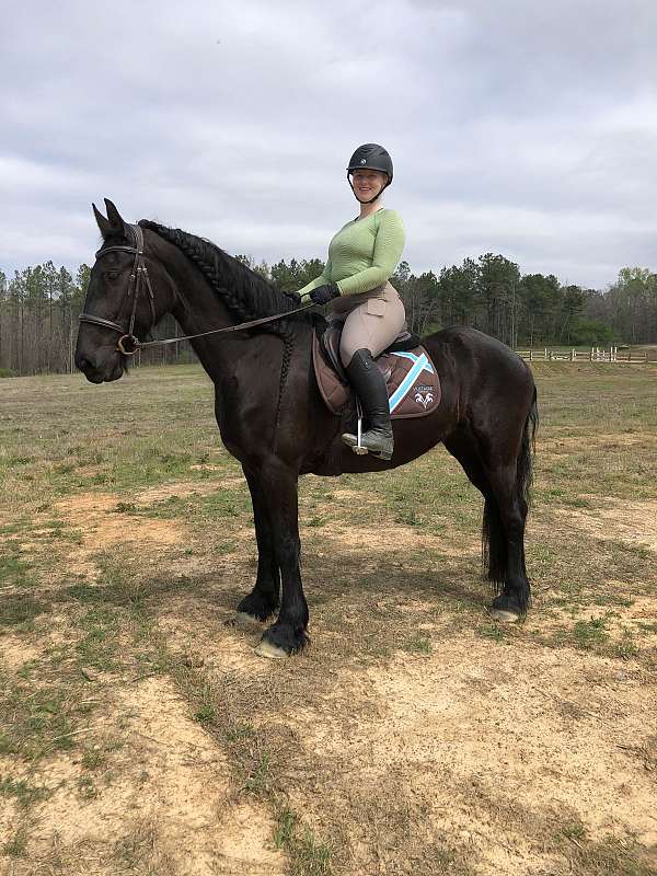 green-project-horse