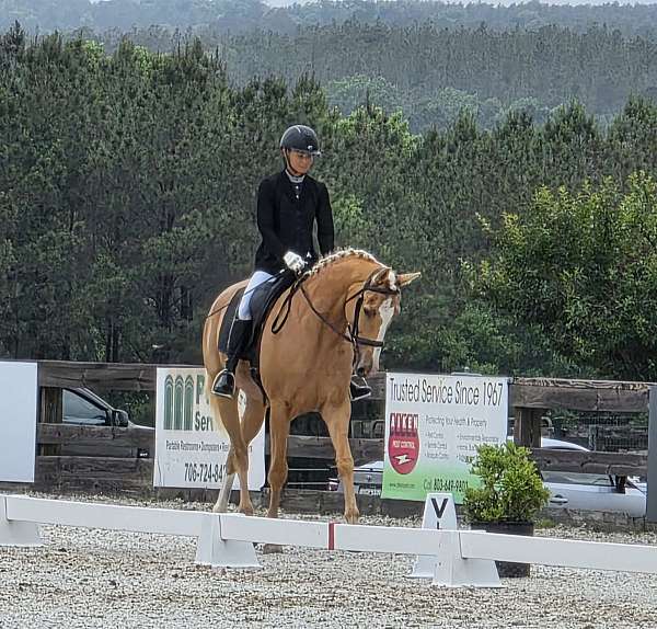 blaze-hind-left-sock