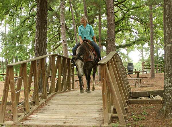 ranch-work-quarter-horse