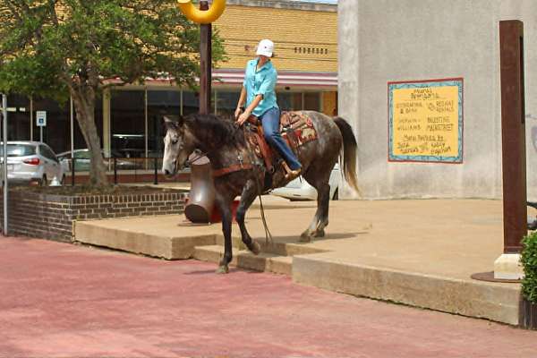 ridden-western-quarter-horse
