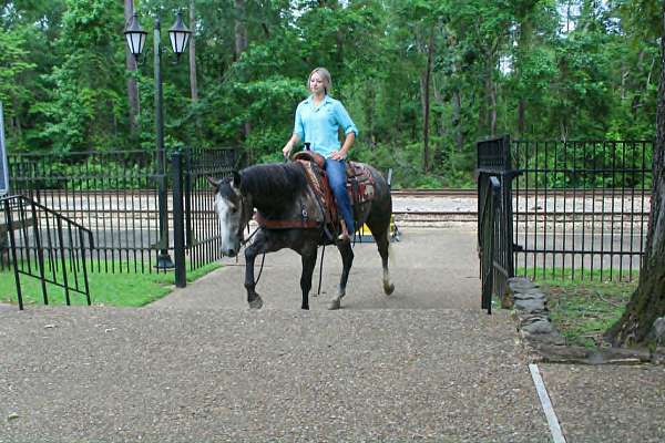 roping-quarter-horse