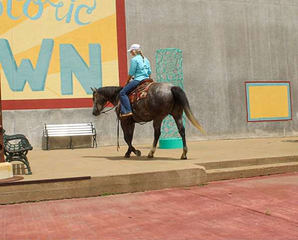 trail-riding-quarter-horse