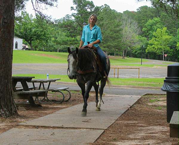 western-riding-quarter-horse