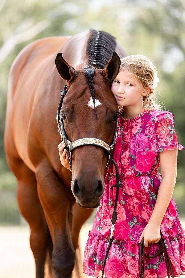 beginner-quarter-horse