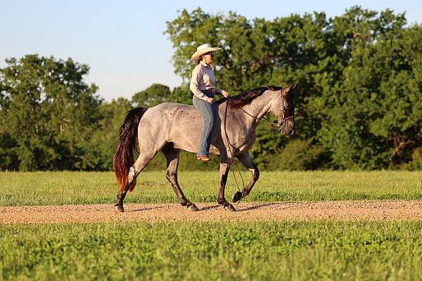 blue-roan-pack-pony