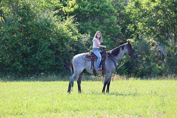 blue-roan-show-winner-pony