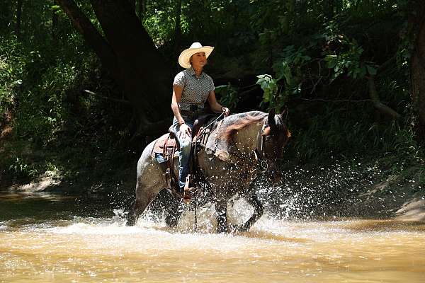 blue-roan-therapy-pony