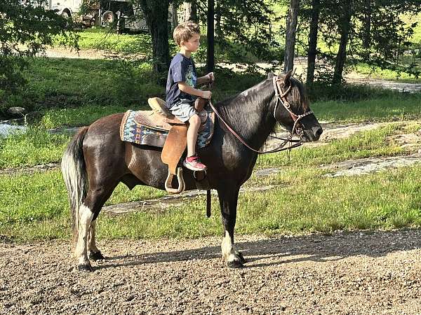 height-pony