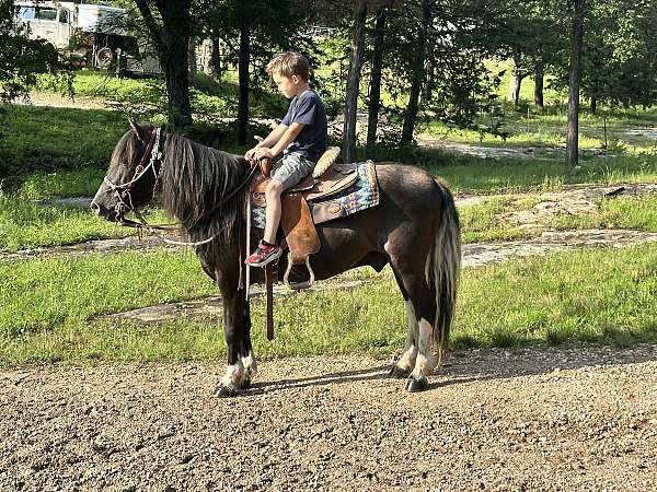 neck-rein-pony