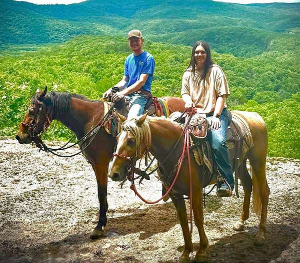 athletic-draft-horse