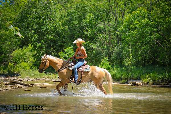 athletic-quarter-horse