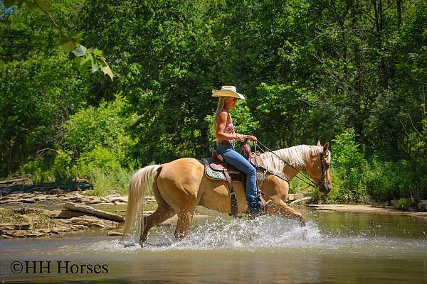 barrel-racing-quarter-horse