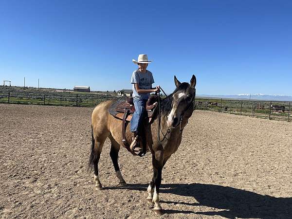 dorsal-stripe-horse