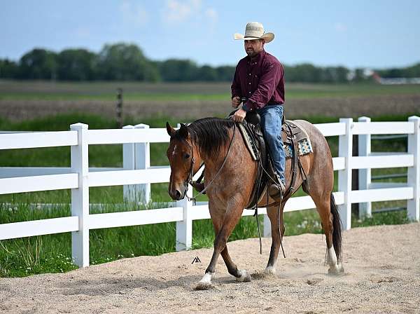 cowboy-mounted-shooting-quarter-horse