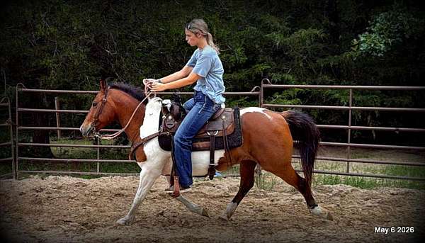 substantial-paint-horse