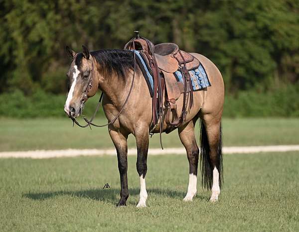 barrel-racing-quarter-horse