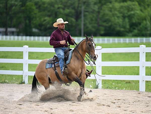 cowboy-mounted-shooting-quarter-horse