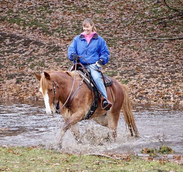 roan-blaze-sock-on-rear-legs-horse