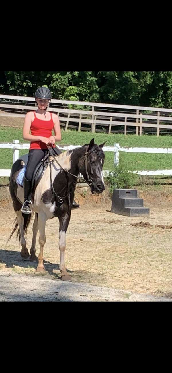 morgan-mare
