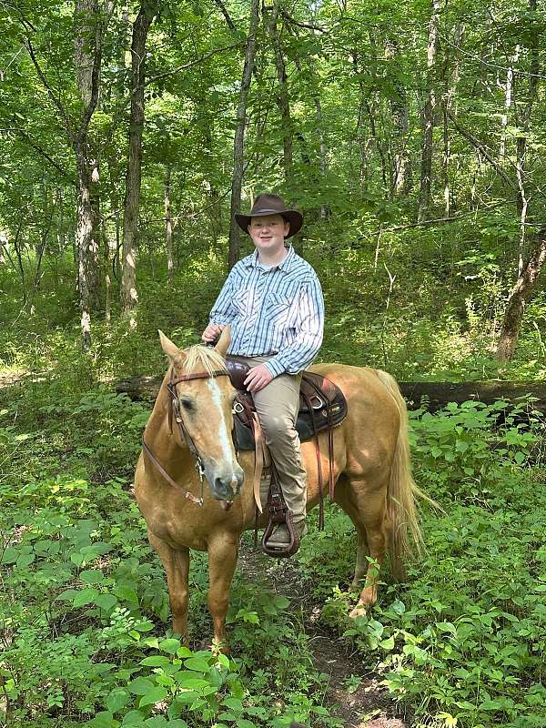 ridden-western-quarter-horse