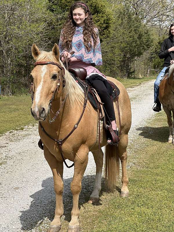 trail-quarter-horse