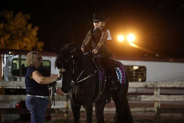 docs-tennessee-walking-horse