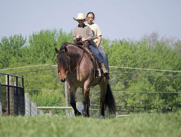 flashy-draft-horse