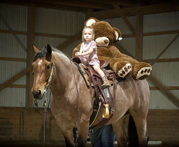 ridden-western-draft-horse