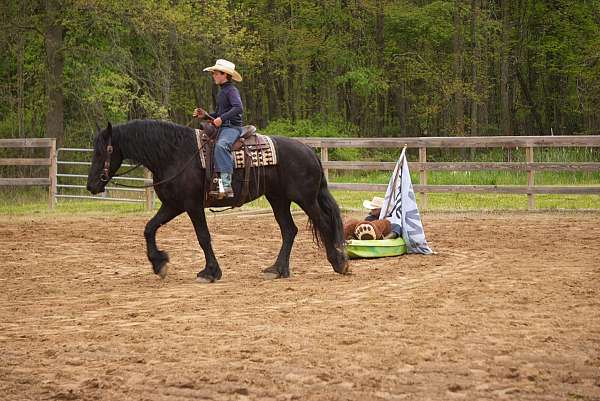 ranch-friesian-horse