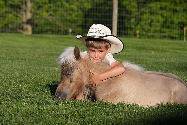 kid-safe-pony