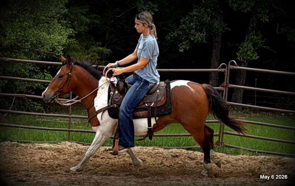 obstacle-horse-paint